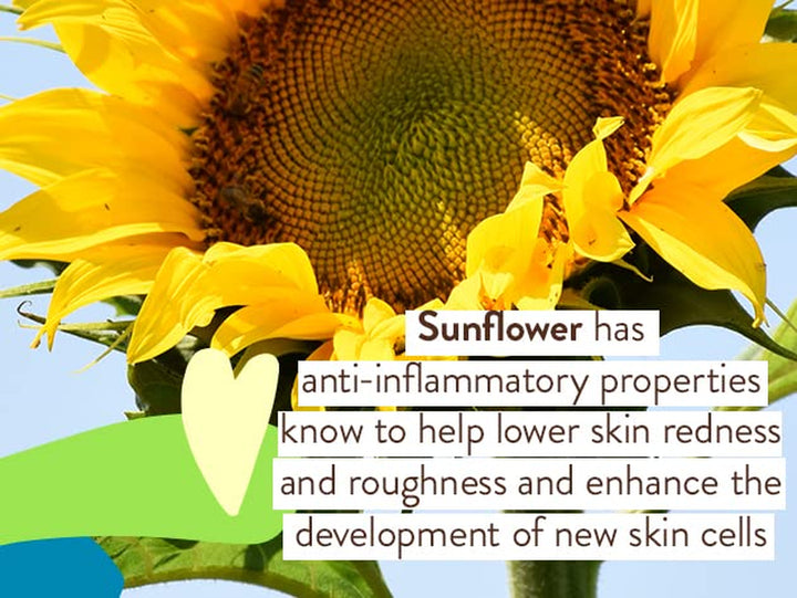 Babo Botanicals Sensitive Baby Mineral Sunscreen Lotion SPF50 - Natural Zinc Oxide - Face & Body - Fragrance-Free - Water-Resistant - EWG Verified - Vegan - Extra Sensitive Skin - for Babies & Kids