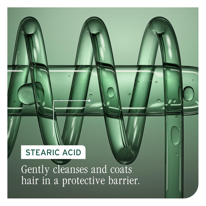 Biolage Color Last Conditioner - Protects & Preserves Color Treated Hair, Hydrates & Repairs Damaged Hair, Adds Shine, Vegan, Paraben-Free