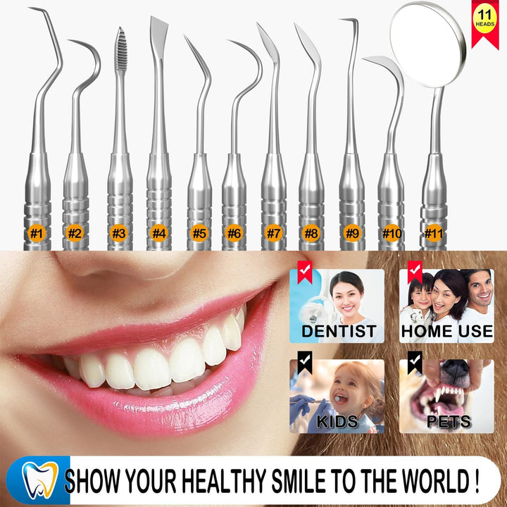 Dental Tools, Dental Pick for Teeth Cleaning, Stainless Steel Hygiene Kit with Tooth Scraper Plaque Tartar Remover - with Case