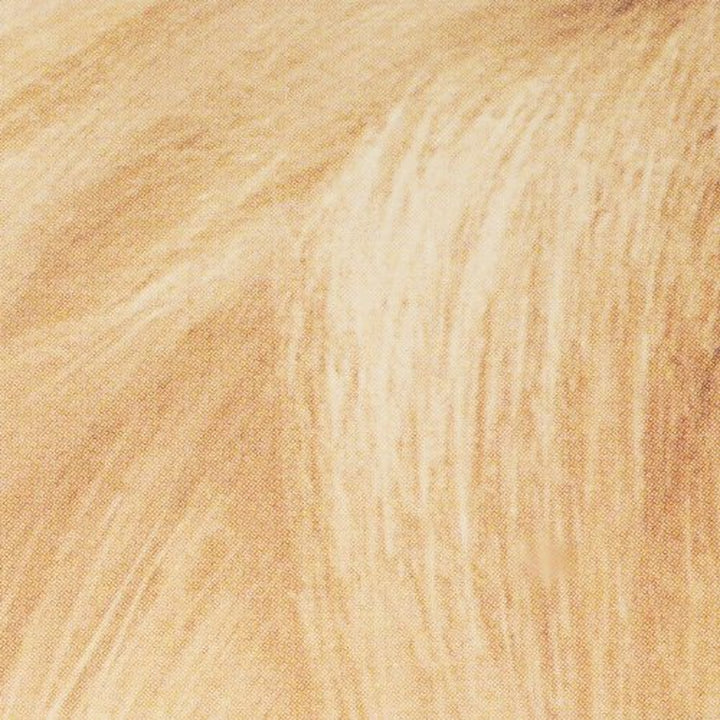 Super Blonde Creme Lightening Kit, 200 Bleach Blonde