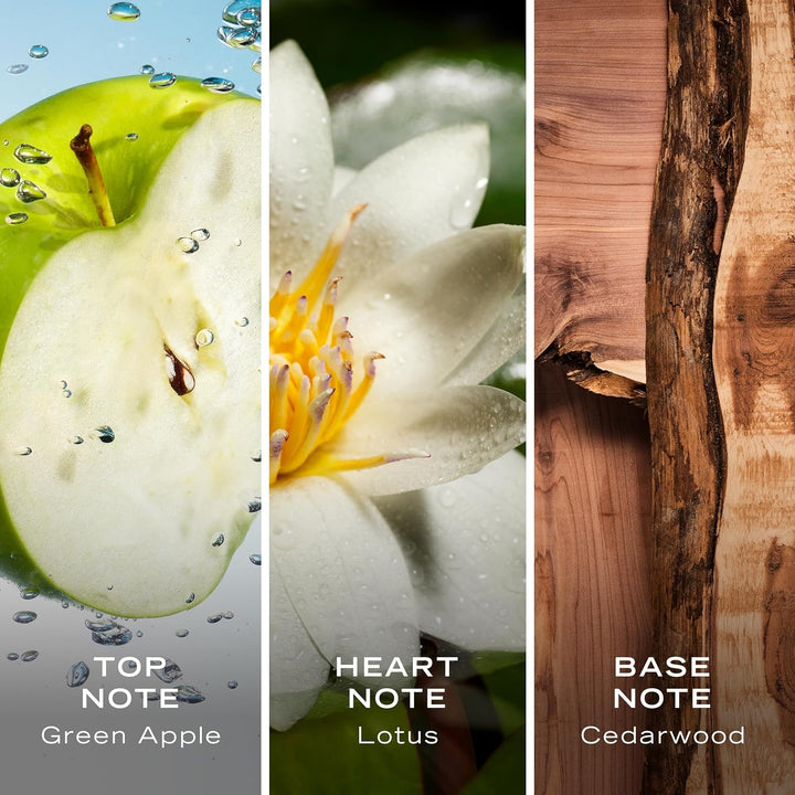 Voyage Deo Body Spray 6 Fl Oz (Pack of 1), Notes of Apple, Cedarwood, Mimosa, Men'S Fragrance, Long Lasting, Everyday Fragrance