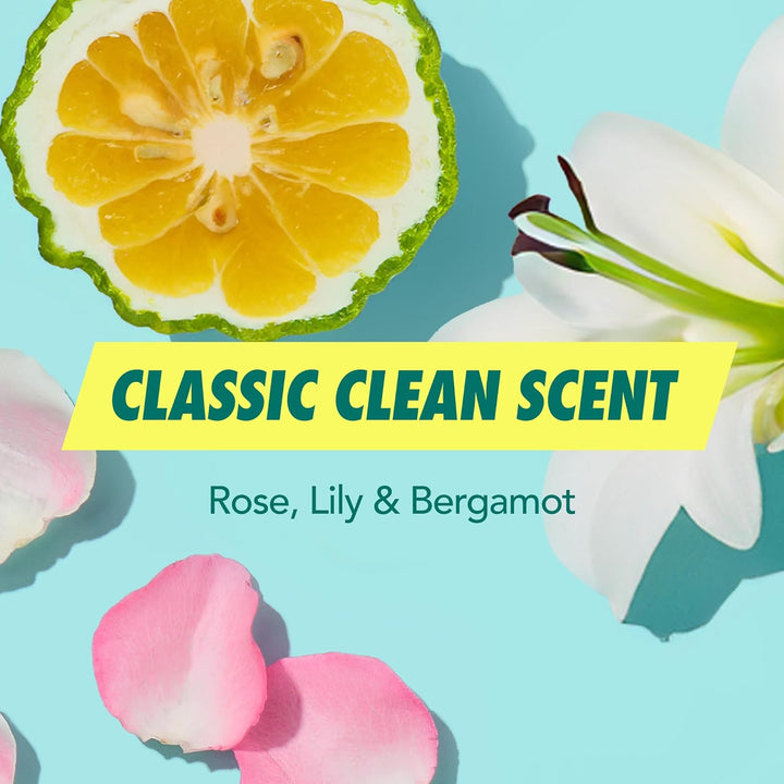 3 Piece Dry Shampoo Set, Original