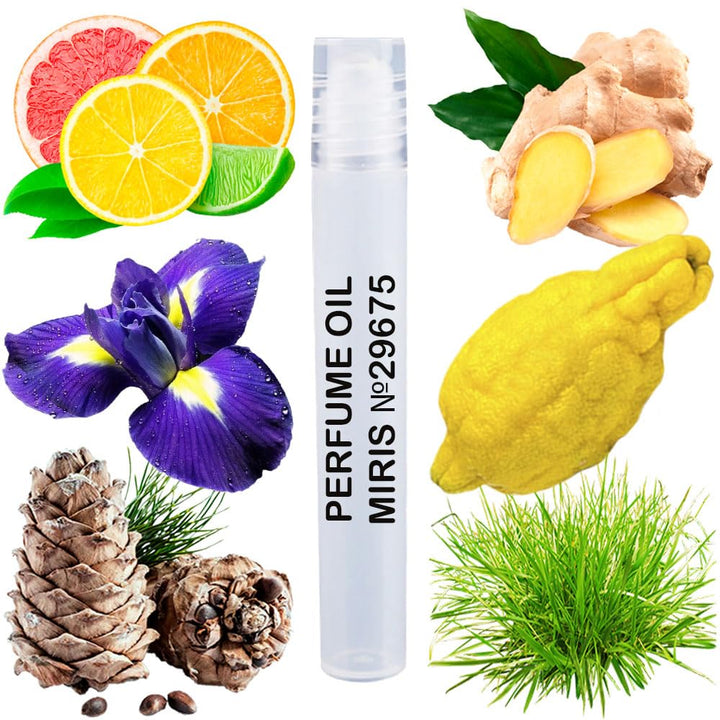 No. 24558, Inspired by Chance Eau Fraiche, Long-Lasting Perfume Oil for Women Roll-On, Rollerball 0.34 Fl Oz / 10 Ml