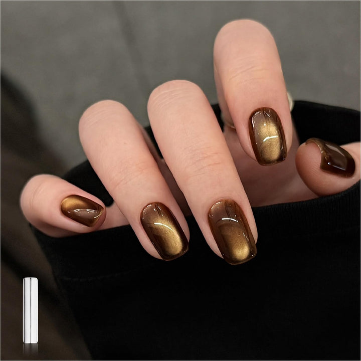 Glassy Cat Eye Gel Nail Polish, 16Ml Glitter Holographic UV Gel Polish with Magnet, Reflective Translucent, 2341 Silvery Moonlight