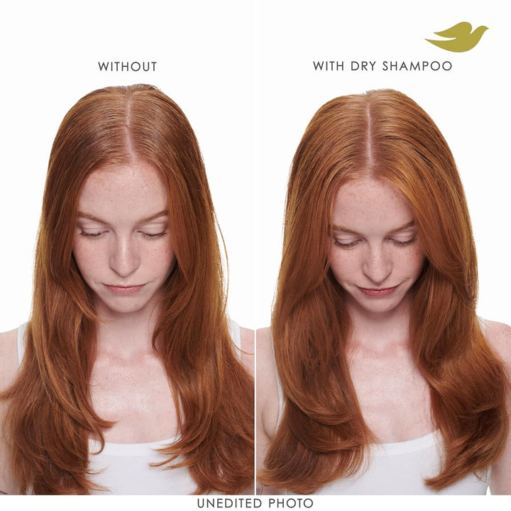 Dry Shampoo Spray, Volume & Fullness, Absorbs Oil to Refresh Hair without Washing, 5 Oz (2-Pack)