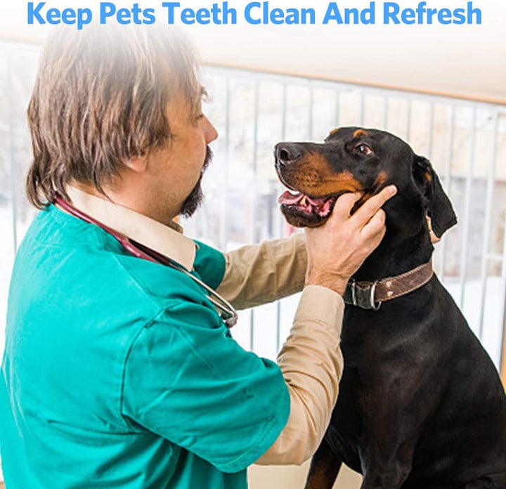 Professional Dental Tools,  Stainless Steel Teeth Cleaning Tools for Dentist, Personal Using, Pets, Dental Hygiene Kit with Dental Scaler Pick, Tooth Tartar Scraper Remover and Storage Box