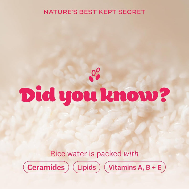 Rice Water Bright Light Facial Cleansing Oil, Daily Makeup Remover, Oil Cleanser, Vegan, Korean Skin Care with Jojoba Oil, Face Pore Cleanser, 150Ml