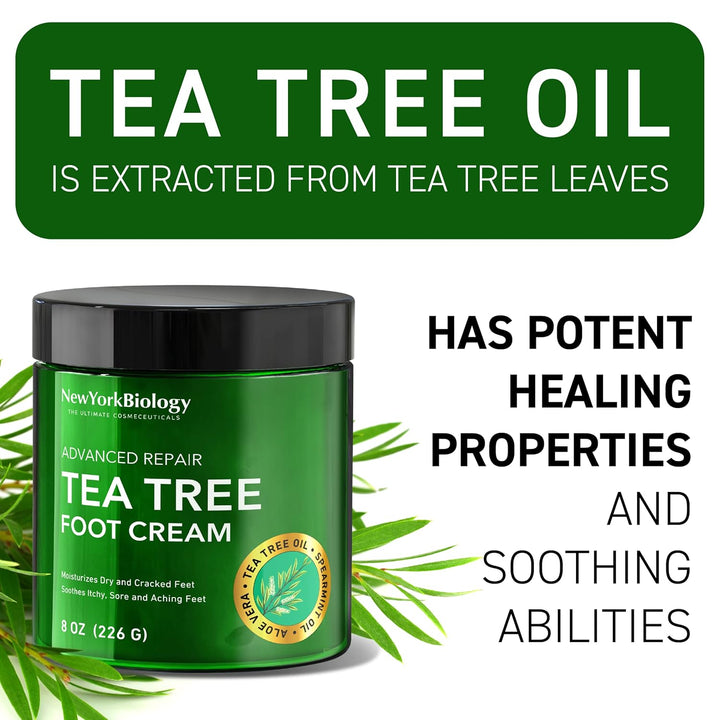 New York Biology Tea Tree Oil Foot Cream for Dry Cracked Feet, Athletes Foot, Nail Fungus, Jock Itch, Ringworm, Cracked Heels and Itchy Skin - Foot Cream - 8 Oz