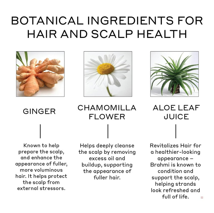 ZENAGEN Revolve Conditioner (Unisex) | Supports Scalp Health & Appearance of Fuller, Healthier Hair, Developed for Fine & Visibly Thinning Hair, Plant-Based, Color-Safe, Vegan