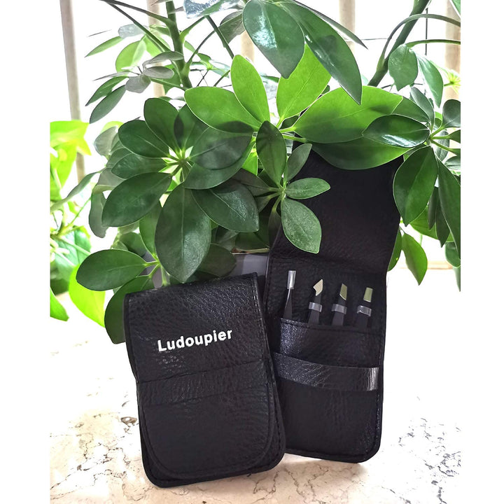 [4+1 Pieces] Tweezers Set with Travel Case, Great Precision Upgrade Professional Anti-Rust Alloy Tweezers for Women & Men Multi-Purpose as Eyebrows Facial Hair Ingrown Hair Removal